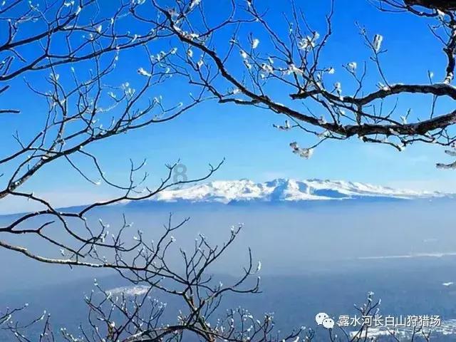 三小只僵尸的游戏时间7
